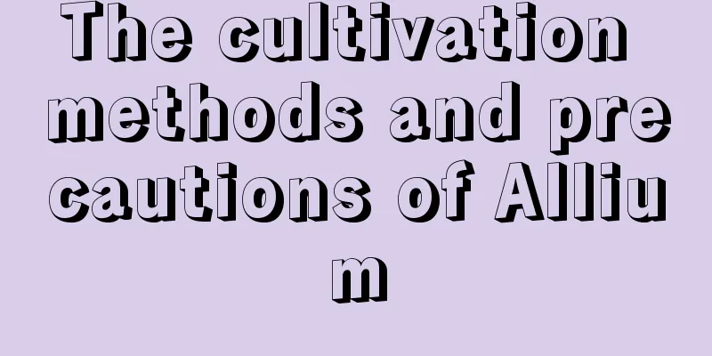 The cultivation methods and precautions of Allium