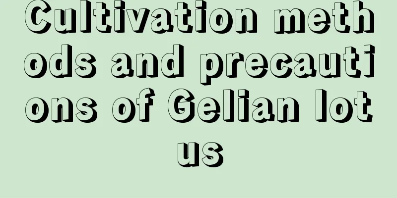 Cultivation methods and precautions of Gelian lotus