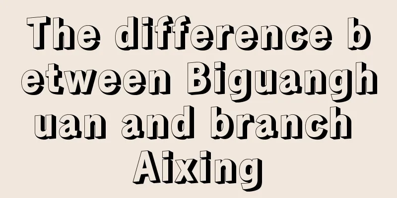 The difference between Biguanghuan and branch Aixing