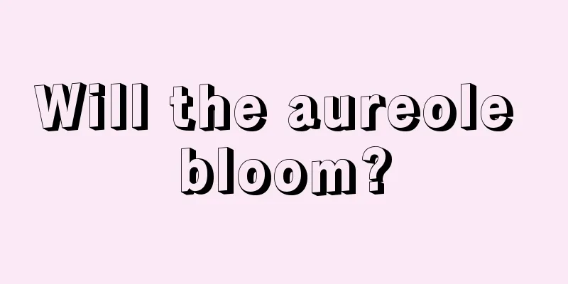 Will the aureole bloom?