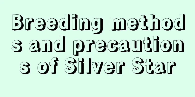 Breeding methods and precautions of Silver Star