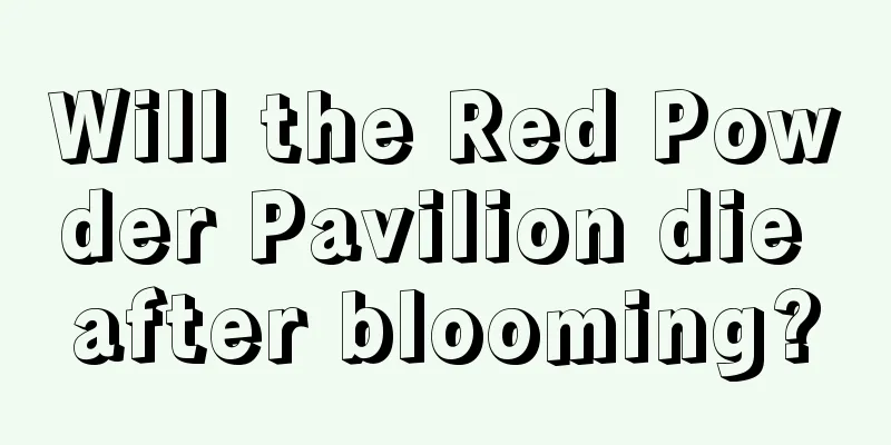 Will the Red Powder Pavilion die after blooming?