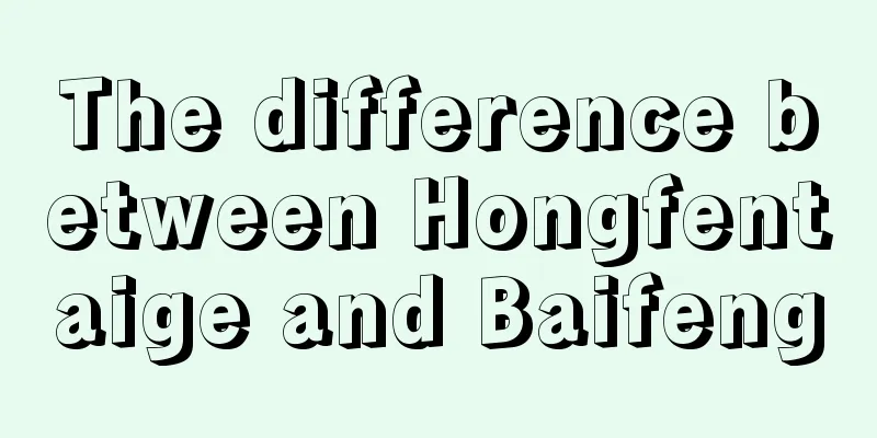 The difference between Hongfentaige and Baifeng