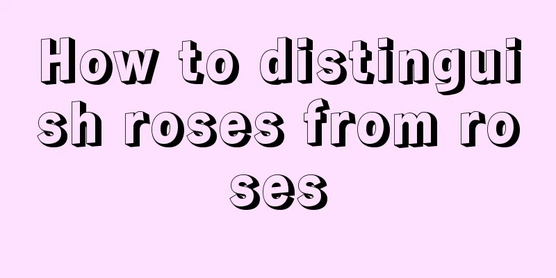 How to distinguish roses from roses