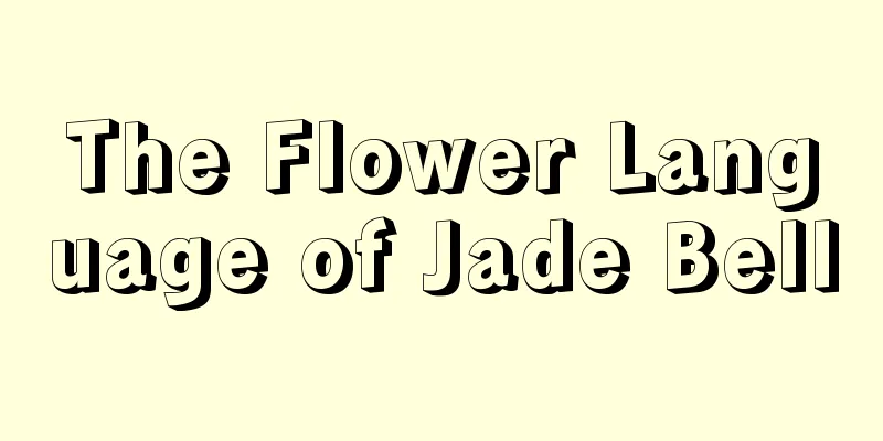 The Flower Language of Jade Bell