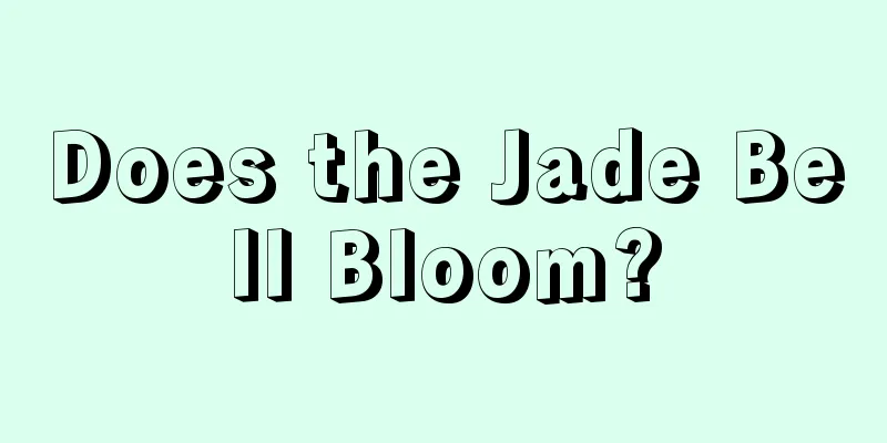 Does the Jade Bell Bloom?