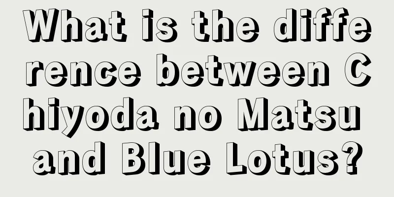 What is the difference between Chiyoda no Matsu and Blue Lotus?