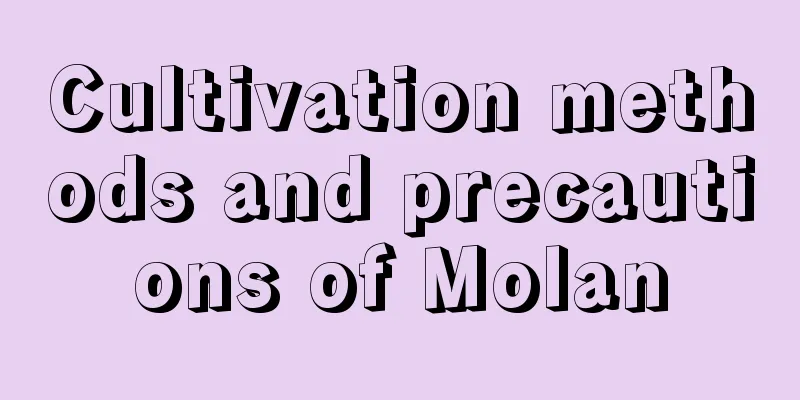 Cultivation methods and precautions of Molan