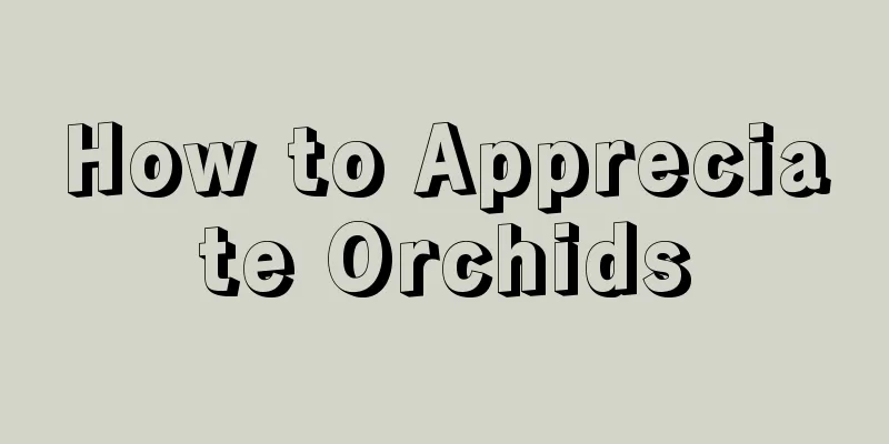 How to Appreciate Orchids