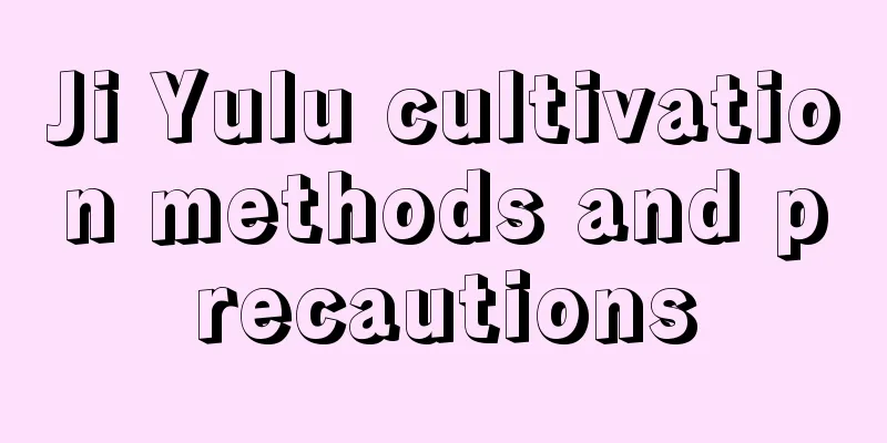 Ji Yulu cultivation methods and precautions