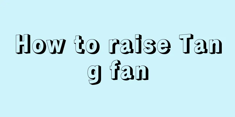 How to raise Tang fan