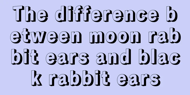 The difference between moon rabbit ears and black rabbit ears