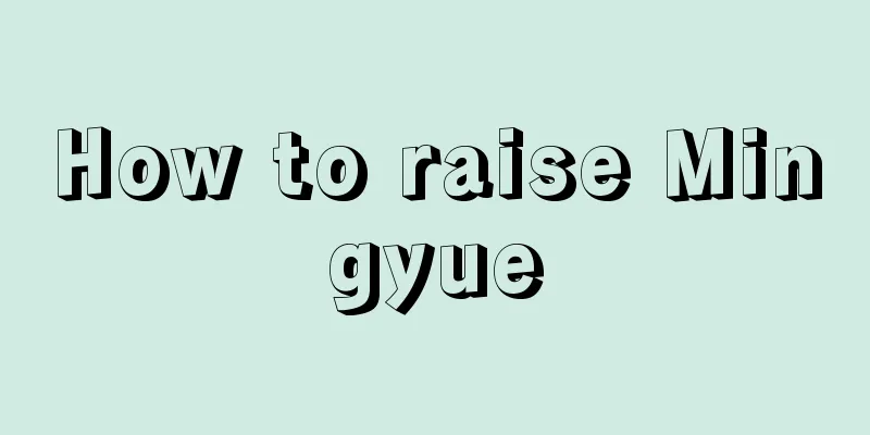 How to raise Mingyue