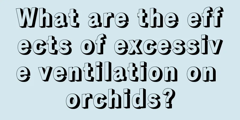 What are the effects of excessive ventilation on orchids?