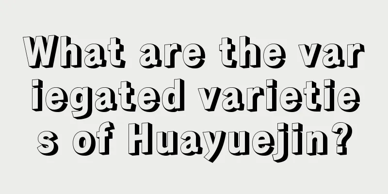 What are the variegated varieties of Huayuejin?