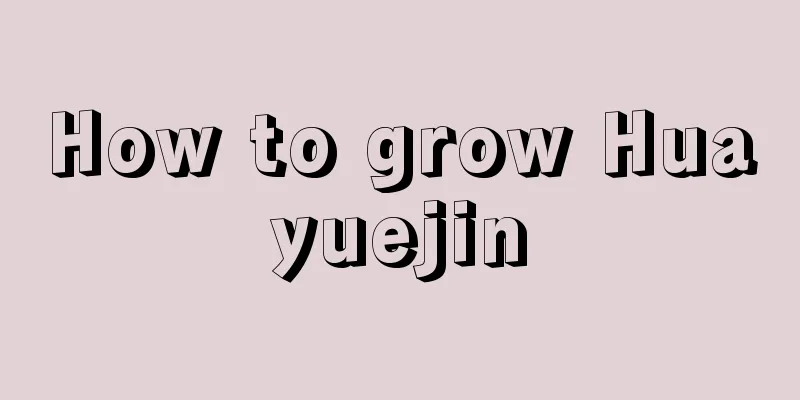 How to grow Huayuejin