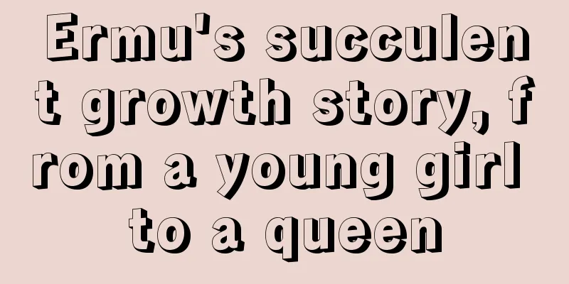 Ermu's succulent growth story, from a young girl to a queen