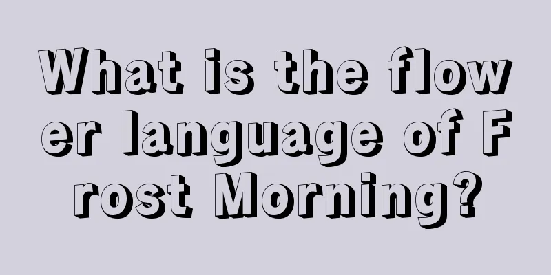 What is the flower language of Frost Morning?