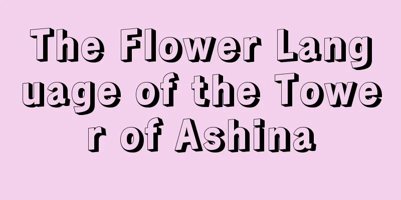 The Flower Language of the Tower of Ashina