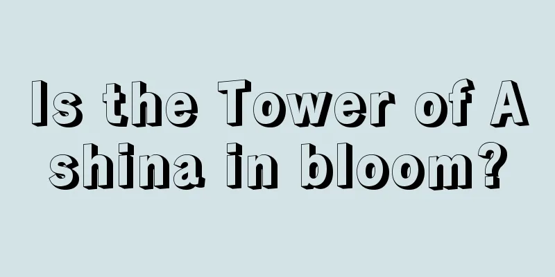 Is the Tower of Ashina in bloom?