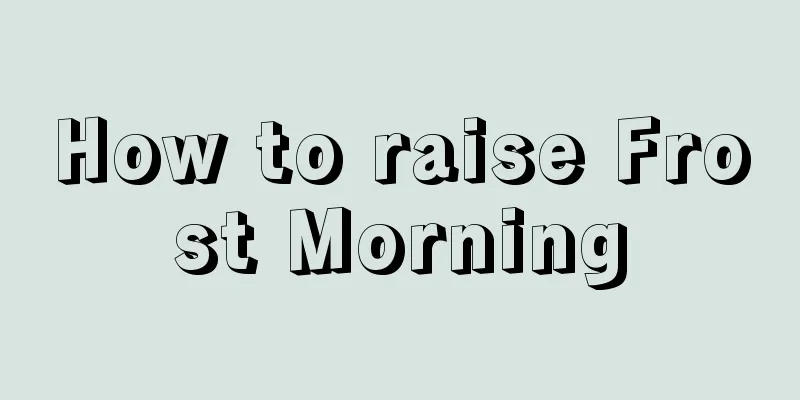 How to raise Frost Morning