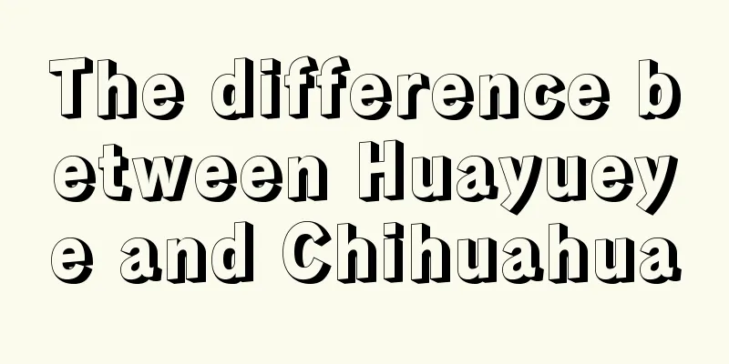 The difference between Huayueye and Chihuahua