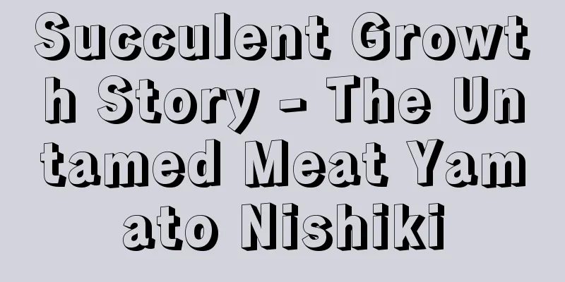 Succulent Growth Story - The Untamed Meat Yamato Nishiki