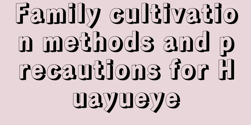 Family cultivation methods and precautions for Huayueye