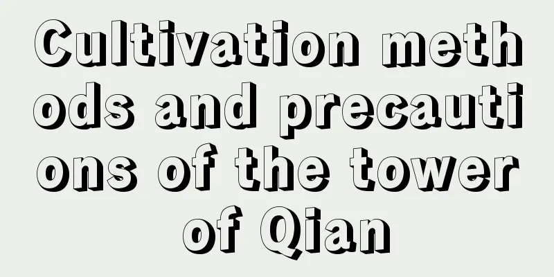 Cultivation methods and precautions of the tower of Qian