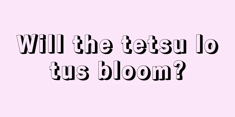 Will the tetsu lotus bloom?