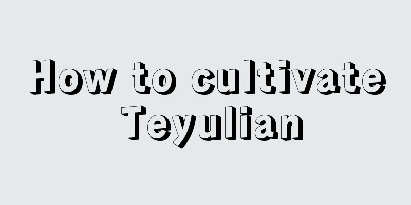 How to cultivate Teyulian