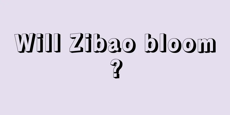 Will Zibao bloom?