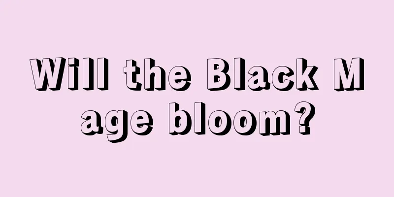 Will the Black Mage bloom?