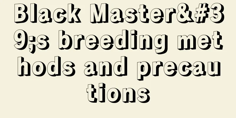 Black Master's breeding methods and precautions