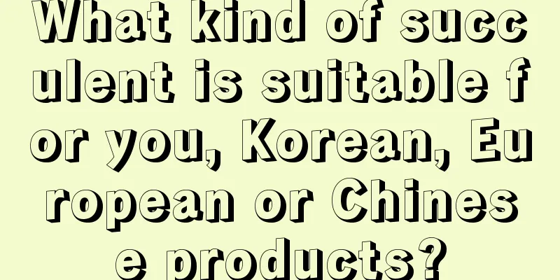 What kind of succulent is suitable for you, Korean, European or Chinese products?