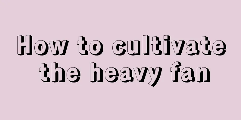 How to cultivate the heavy fan