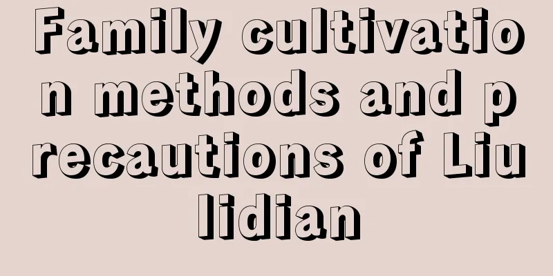 Family cultivation methods and precautions of Liulidian