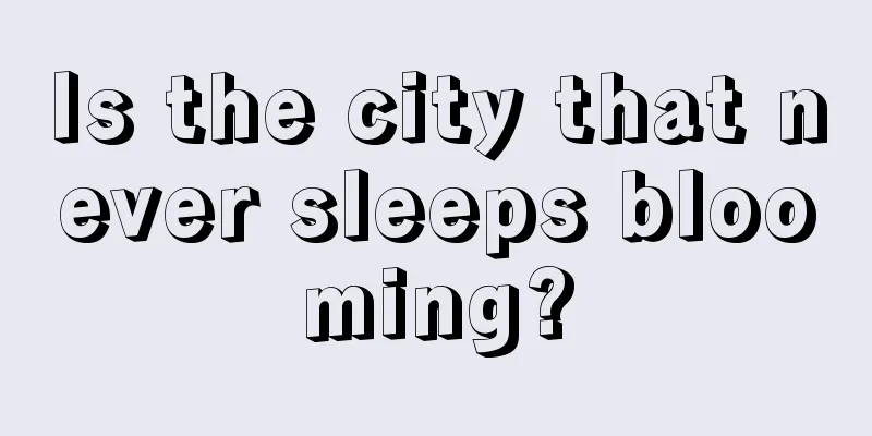 Is the city that never sleeps blooming?