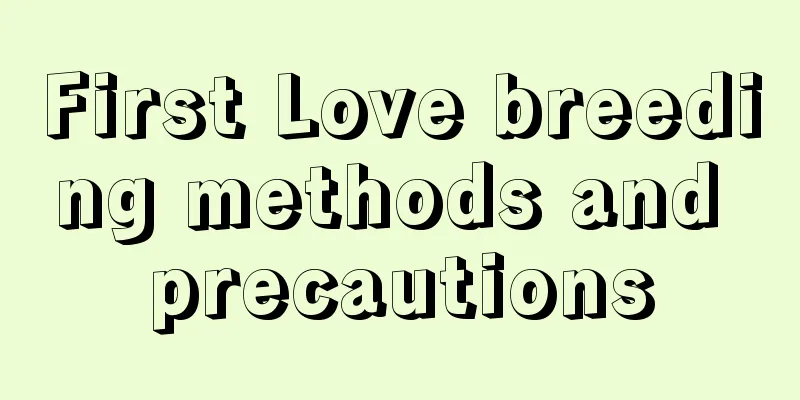 First Love breeding methods and precautions