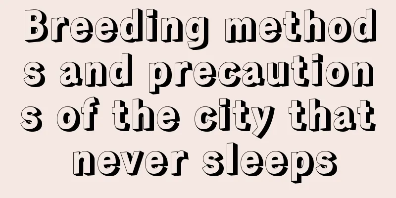 Breeding methods and precautions of the city that never sleeps