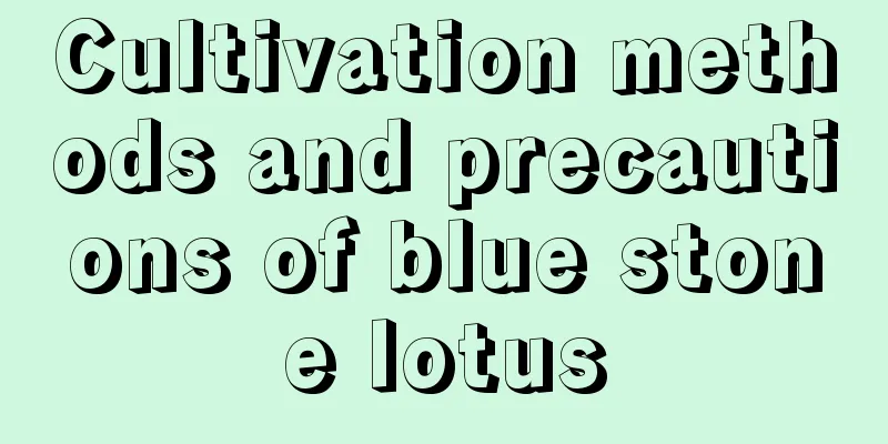 Cultivation methods and precautions of blue stone lotus