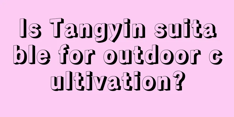 Is Tangyin suitable for outdoor cultivation?