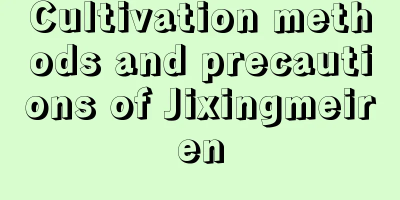 Cultivation methods and precautions of Jixingmeiren