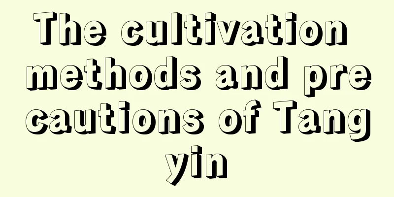 The cultivation methods and precautions of Tangyin