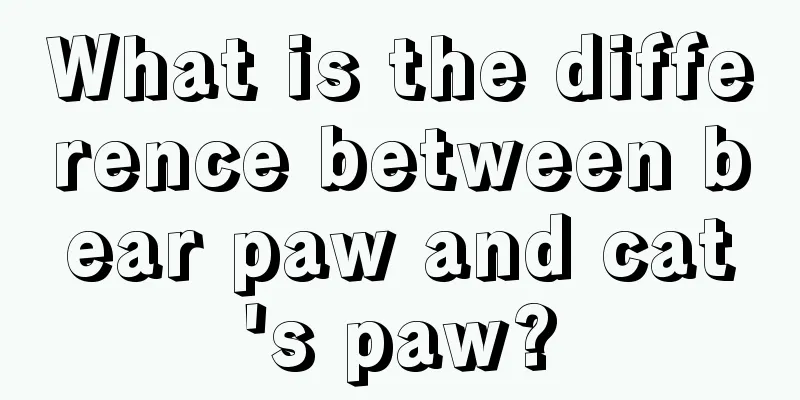 What is the difference between bear paw and cat's paw?