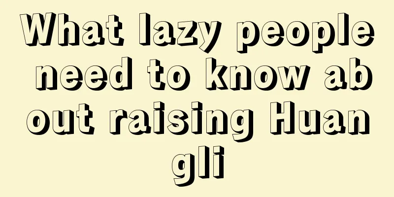 What lazy people need to know about raising Huangli