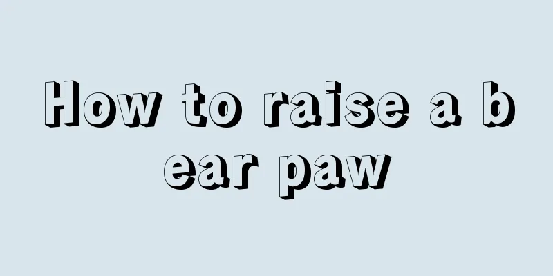 How to raise a bear paw