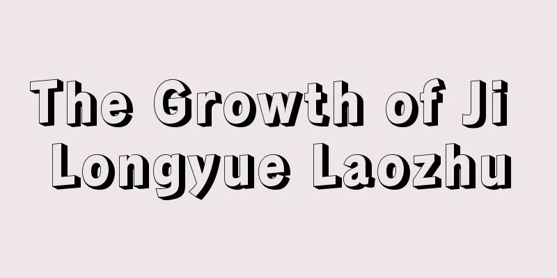 The Growth of Ji Longyue Laozhu