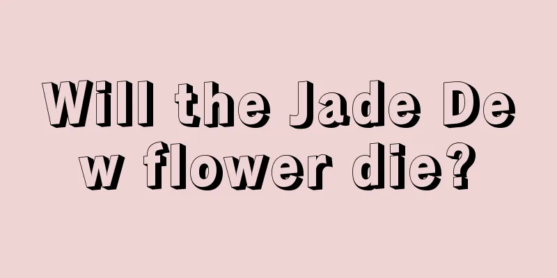 Will the Jade Dew flower die?