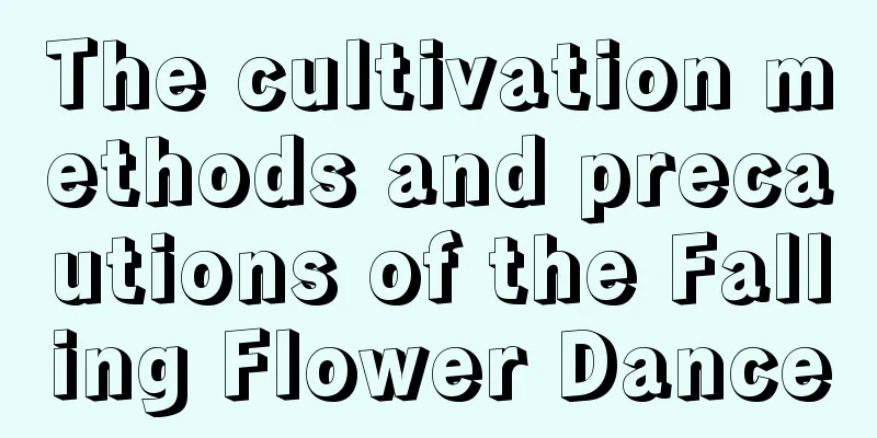 The cultivation methods and precautions of the Falling Flower Dance